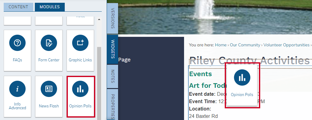 Drag and Drop the Opinion Poll Widget onto the Page