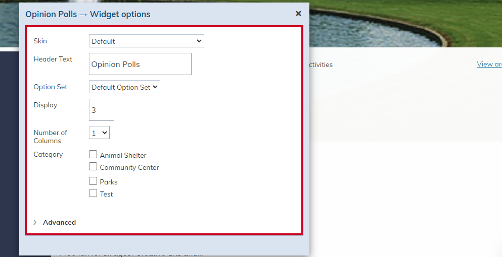 Configure the Widget Options