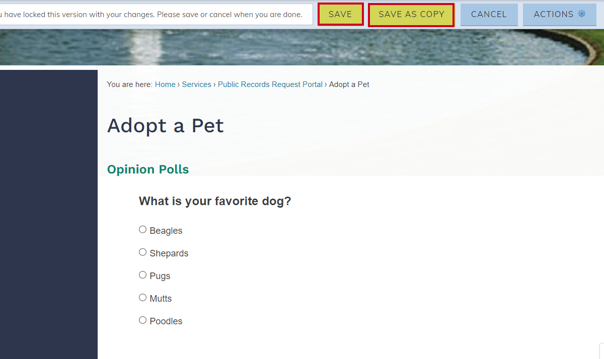 Select your saving Option