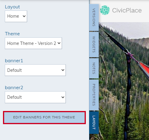 Edit Banners for this Theme button.