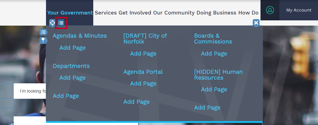Web Central Mega Menu, Pages Widget Options button.