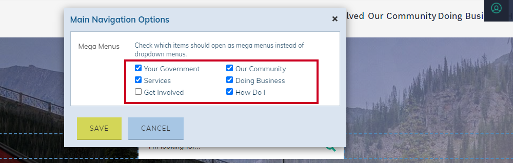 Web Central, Global Navigation/Mega Menu Options Dialog.