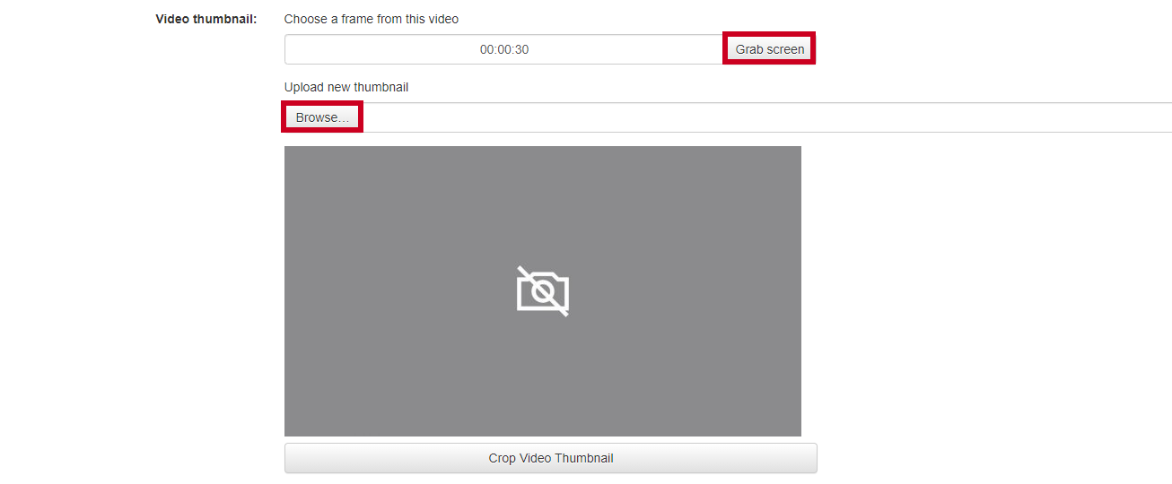 The video thumbnail capture options.