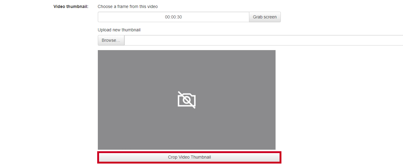 The video's crop video button.