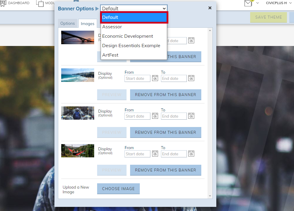 Banner Options dropdown menu.