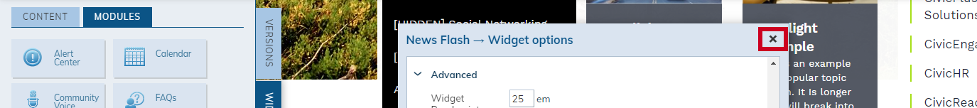 exit widget options