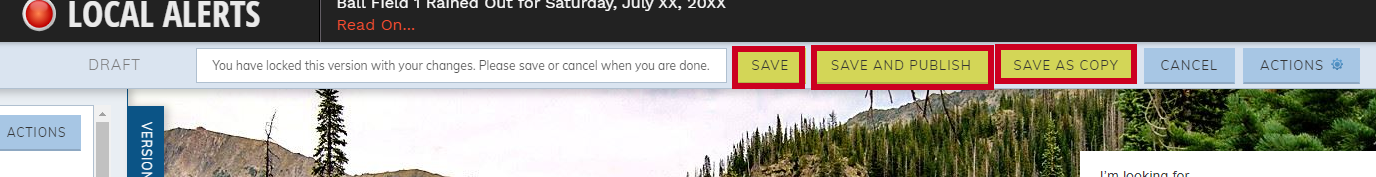 save options
