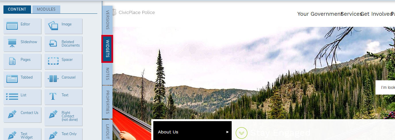 widgets tab