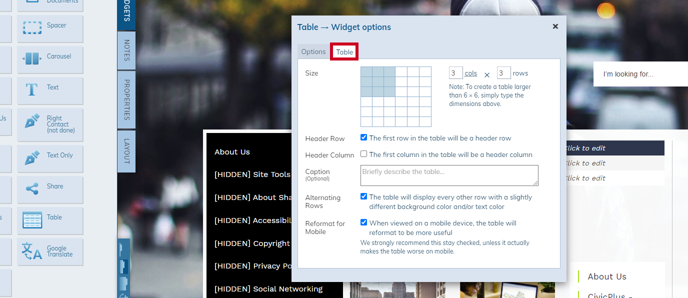 configure table options tab