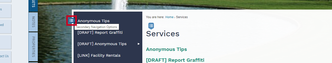 secondary nav option tab