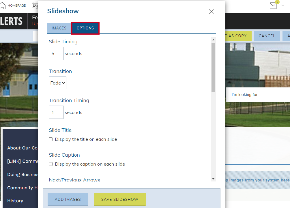 options tab.