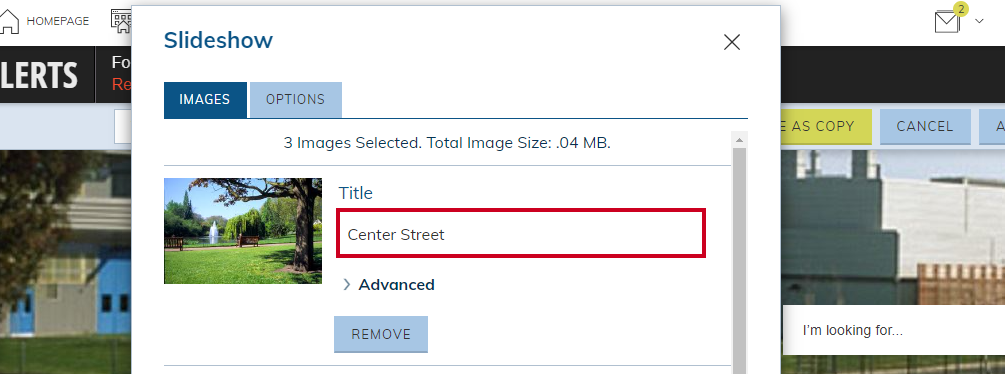 A slideshow image's title field.