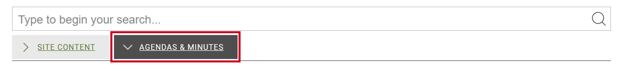 agendas and minutes tab