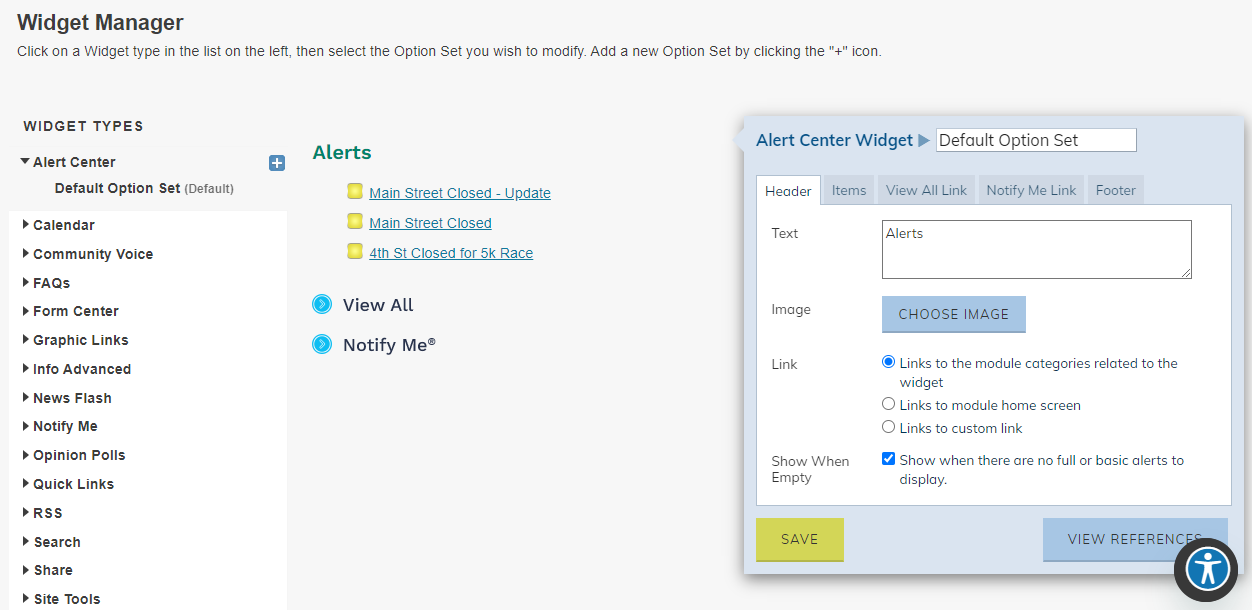 Widget Manager Page and Option Sets.