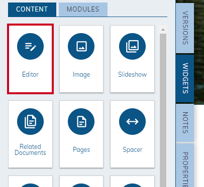 The Editor Widget allows a user to make any changes using a Froala editor to add images, text, and other content.