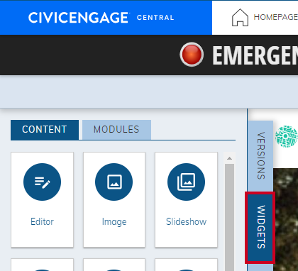 Widgets tab of the Live Edit Pane.