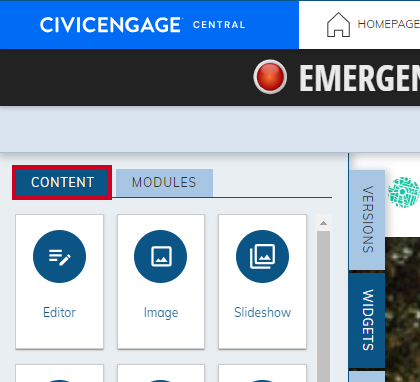 Content tab of the Widgets tab.