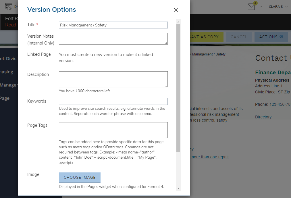 Page option fields.