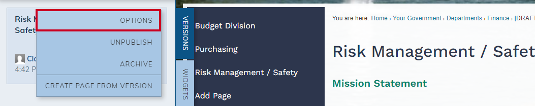 Options button.