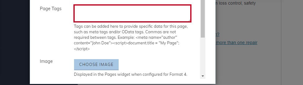 Page Tags field.