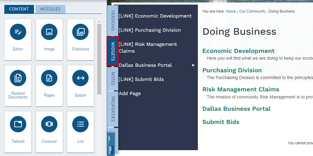 Web Central, Widgets tab.