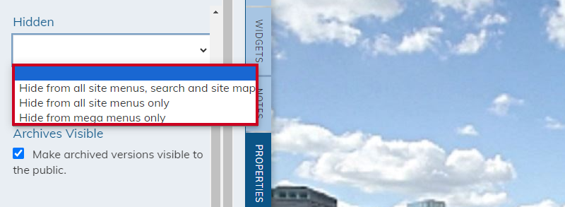 hidden options