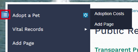 Web Central, Secondary Navigation Options Button.