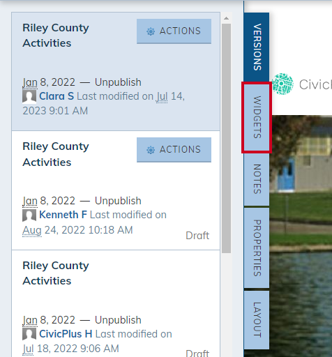 Once Live Edit is ON, the Live Edit panel expands allowing access to the Widgets tab.