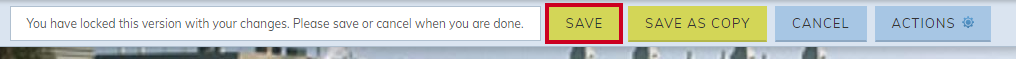 Save button at the top of the page.