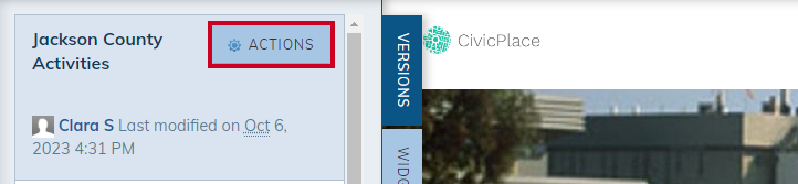 actions button on version tab.