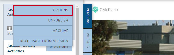 version options.