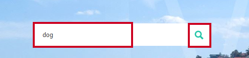 A search box with example text and a clickable magnifying glass icon.