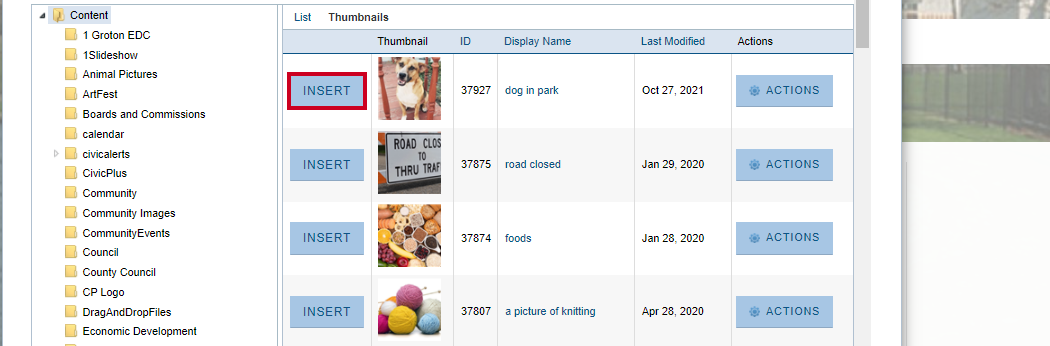 Web Central Editor Widget, Insert Image Dialog Box, Insert Button.