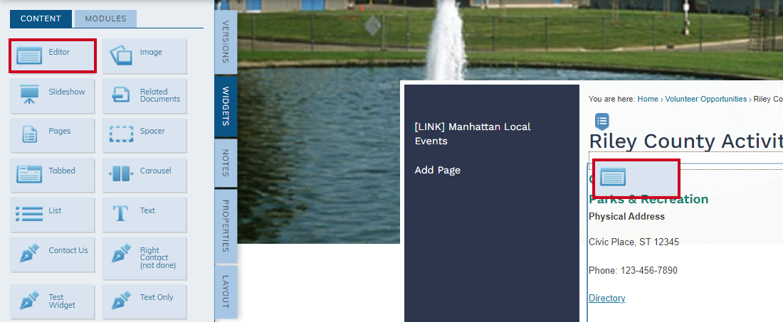 Drag and Drop an Editor Widget to Your Page.