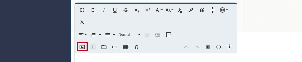 Web Central Editor Widget, Insert Image Button.