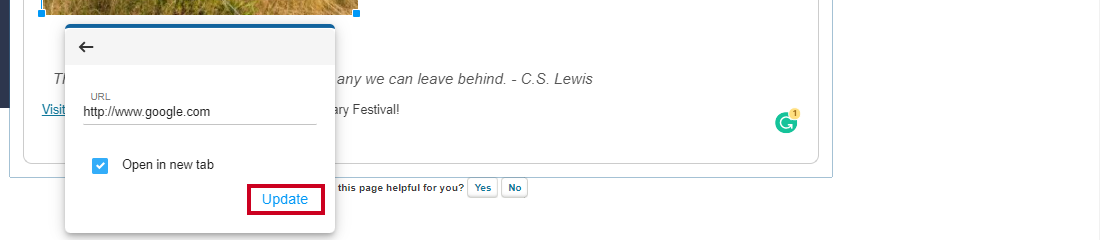 Web Central Editor Widget Image Options Insert Link Update Button.