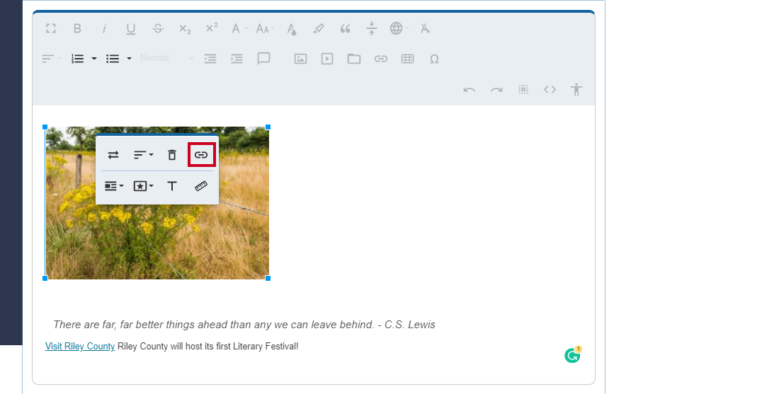 Web Central Editor Widget Image Options Toolbar Insert Link Button.