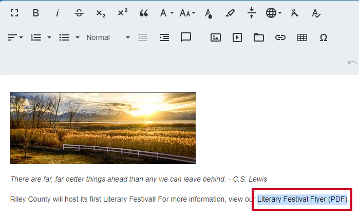 Web Central Editor Widget Text Selected for Creating a Document Link.