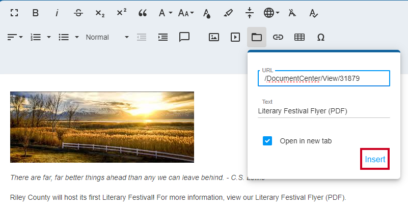 Web Central Editor Widget Insert Document Link Dialog Box Insert Button.