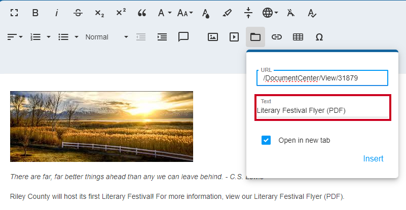 Web Central Editor Widget Insert Document Link Dialog Box Text Field.