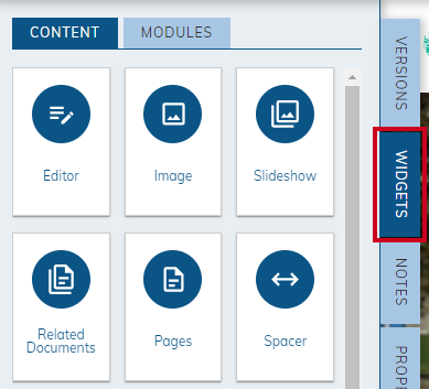 Web Central Live Edit Pane Widgets Tab.