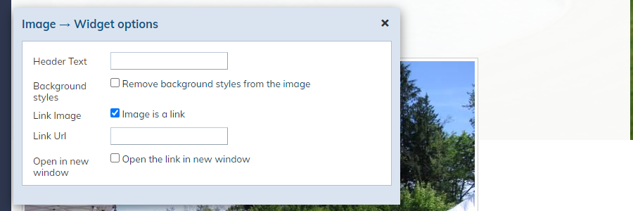 Image Widget Option Fields.