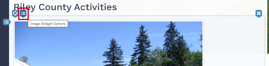 Widget Options in top right corner of image widget.