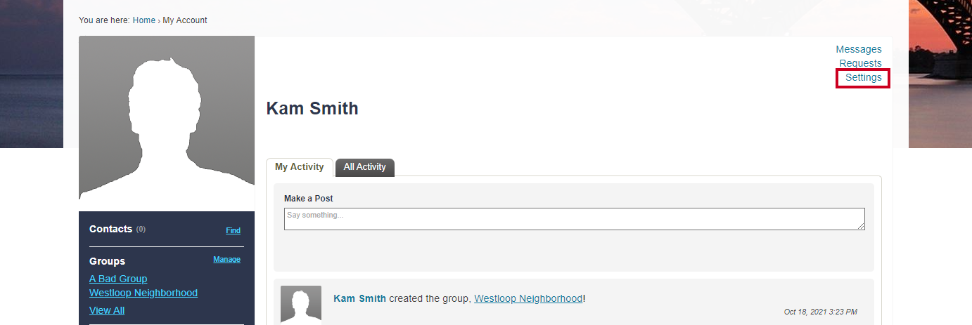 The Settings link can be used to update your profile's settings.