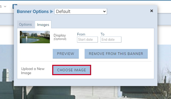 The Banner Option's Choose Image button.