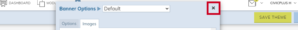 The Close/X button in the top-right corner of the Banner Options box.