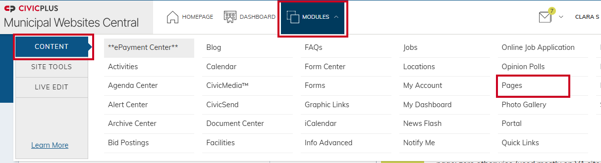 Modules menu with Pages selected.