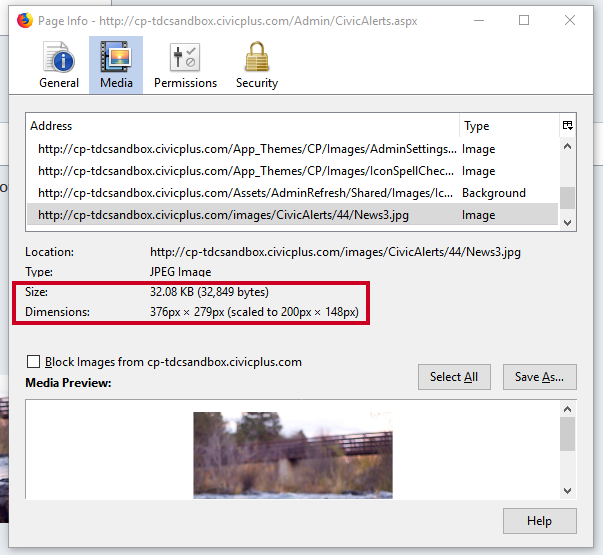 The Size and Dimensions fields on a Page Info pop-up.