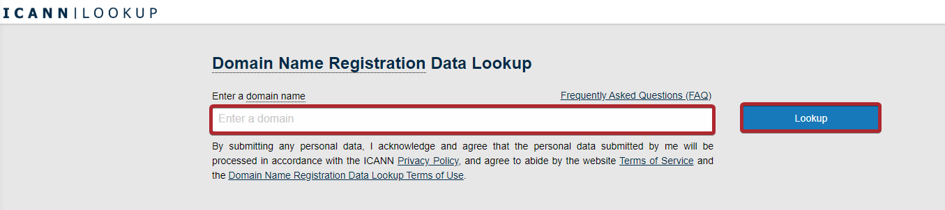enter_domain_and_lookup.png
