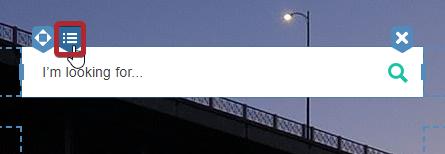 select widget options for search widget